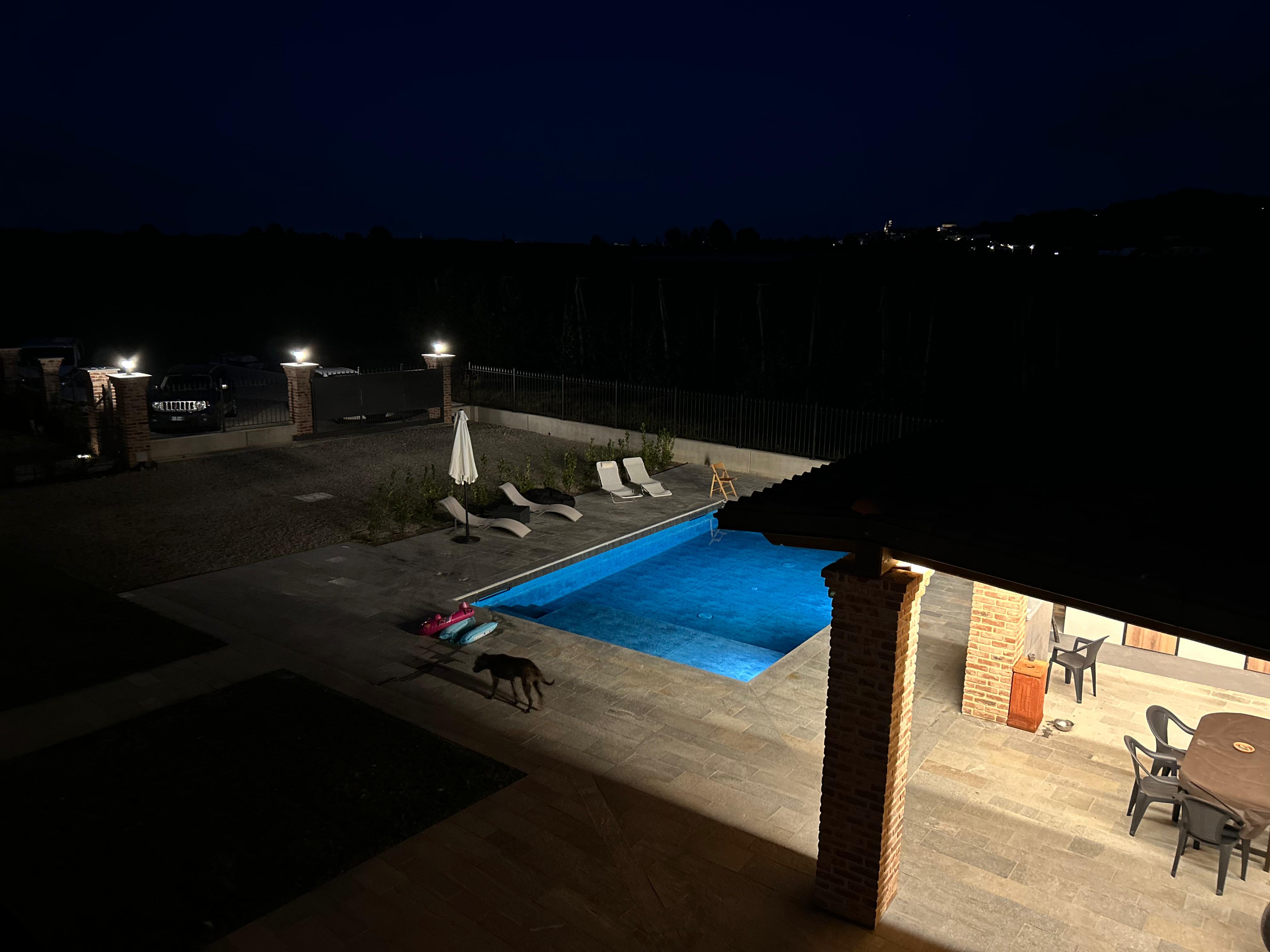 Vigneti delle Langhe